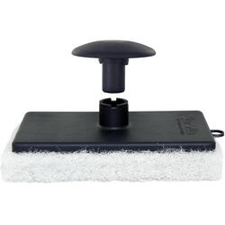 Star brite svamp, Fin